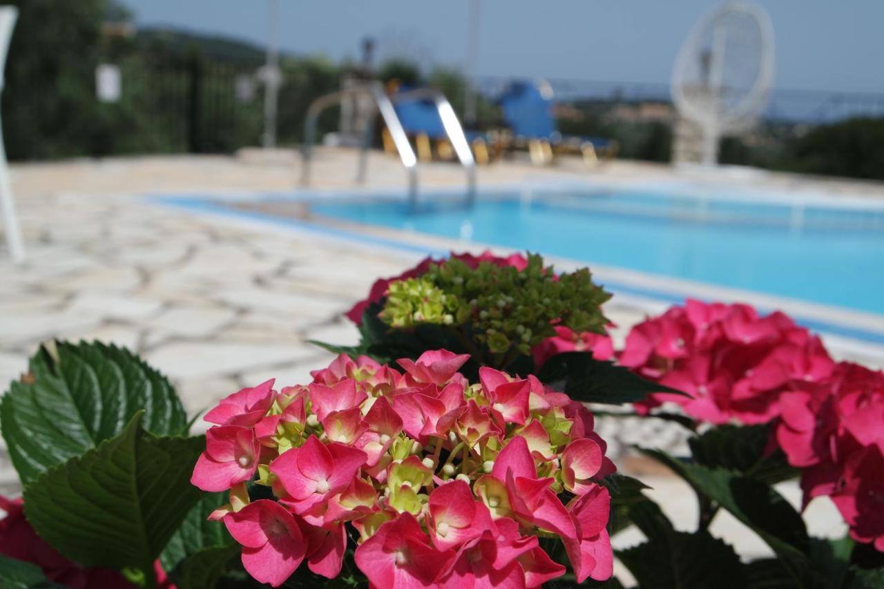 Villa Bacchus Kassiopi Corfu Экстерьер фото